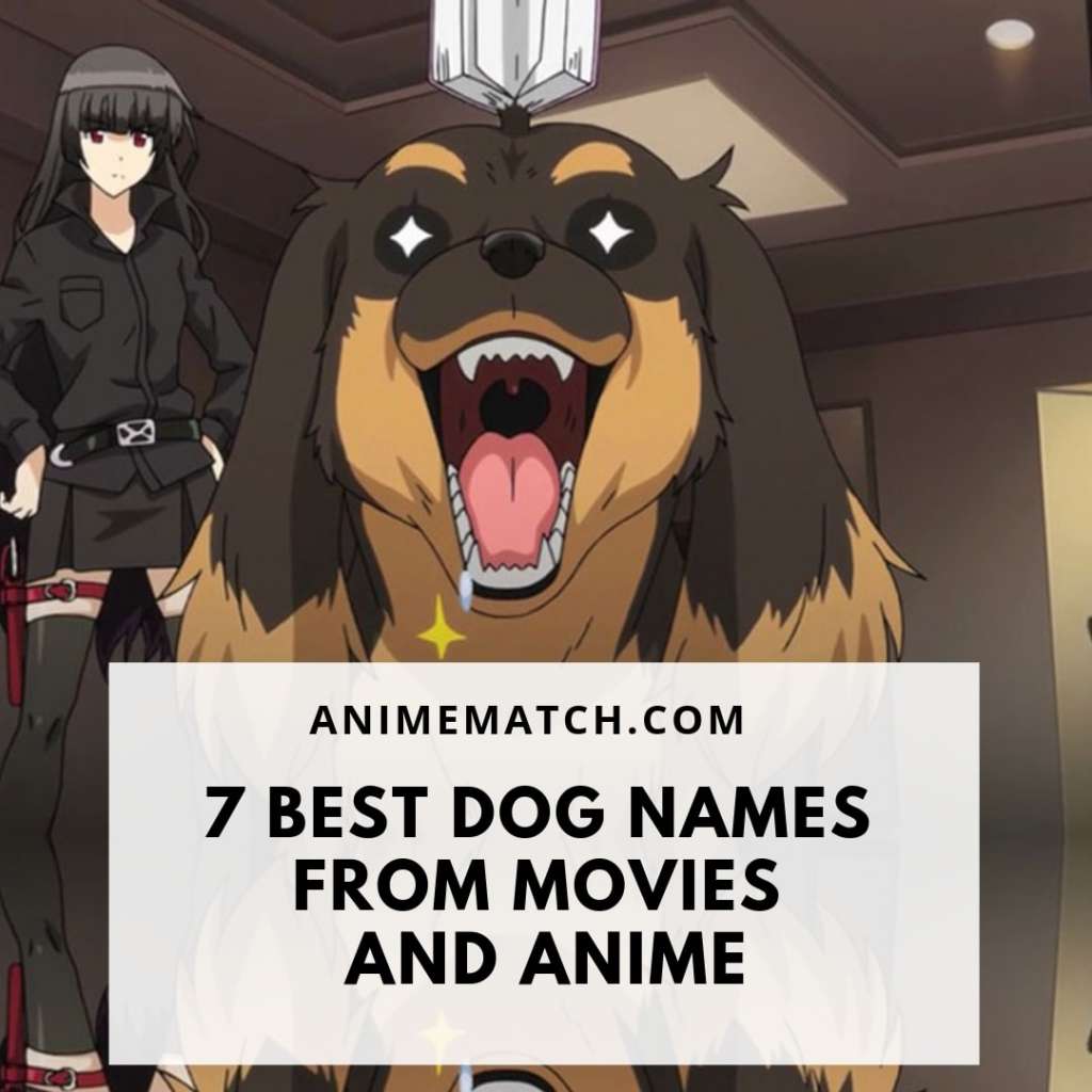 7-best-dog-names-from-movies-and-anime-animematch