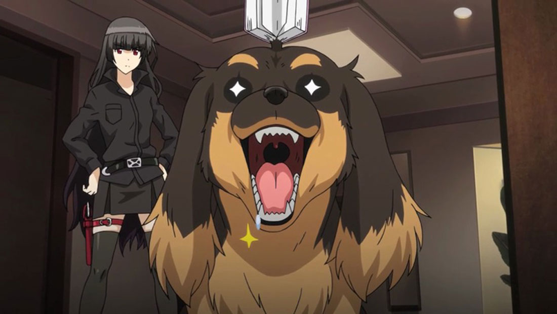 7 Best Dog Names From Movies And Anime - AnimeMatch.com